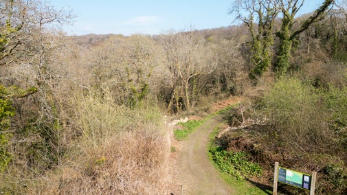 Aerial views of Colby Woodland Garden’s hidden wooded valley, Pembrokeshire